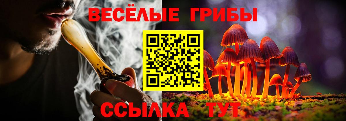 Галлюциногенные грибы мицелий  Вход с VPN  Галлюциногенные грибы Psilocybine cubensis  Белогорск 